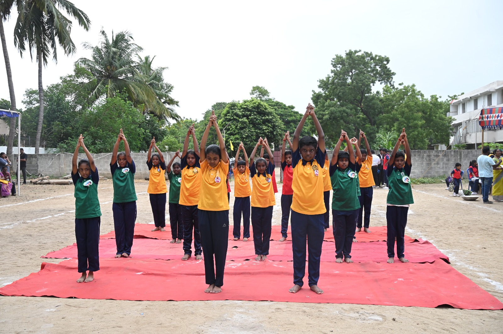Sports & Wellness Programs